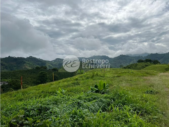 Lote en venta en La Trinidad, Manizales, 1459 m² · foto 24 de 24