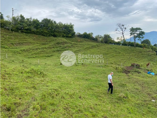 Lote en venta en San Fernando, Dosquebradas · foto 2 de 14