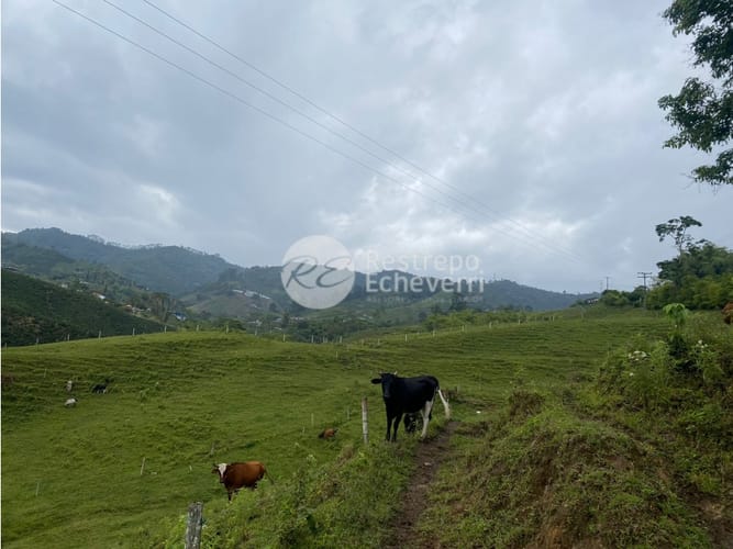 Lote en venta en San Fernando, Dosquebradas · foto 6 de 14