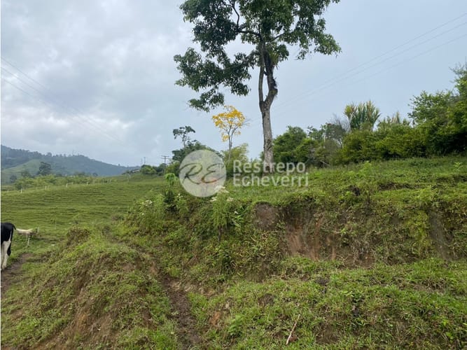 Lote en venta en San Fernando, Dosquebradas · foto 9 de 14
