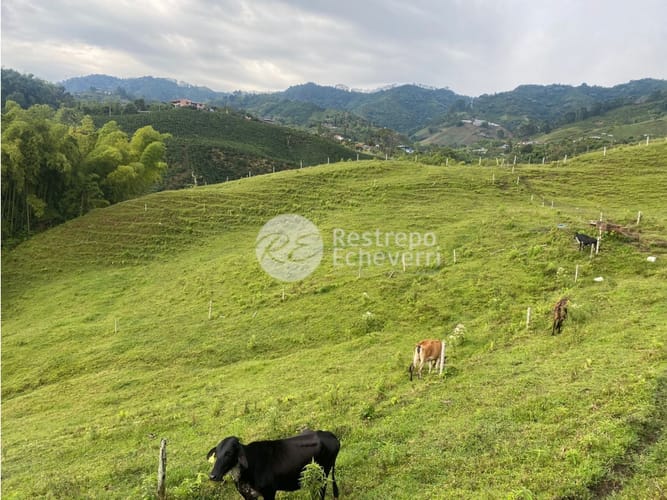 Lote en venta en San Fernando, Dosquebradas · foto 10 de 14