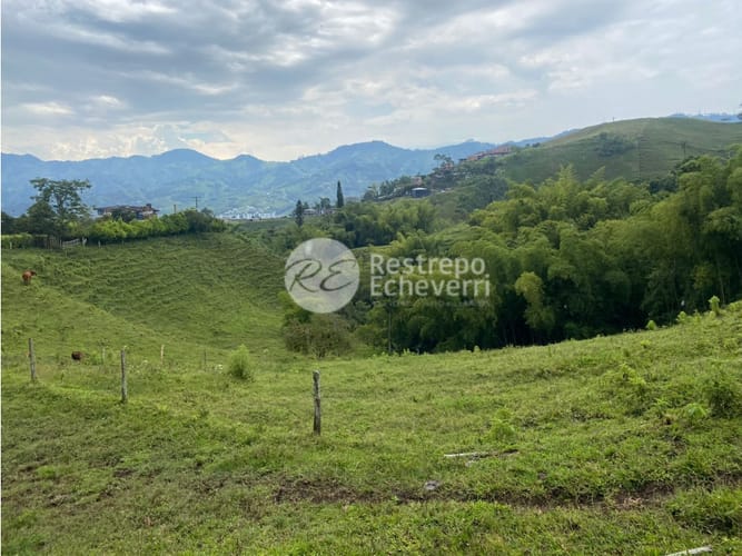 Lote en venta en San Fernando, Dosquebradas · foto 11 de 14