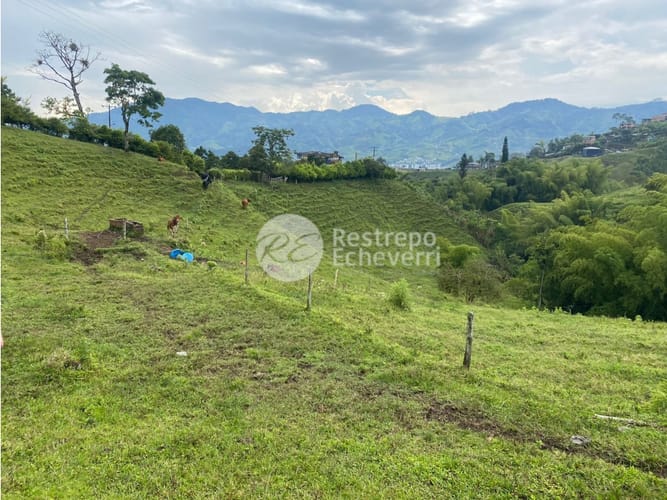 Lote en venta en San Fernando, Dosquebradas · foto 13 de 14