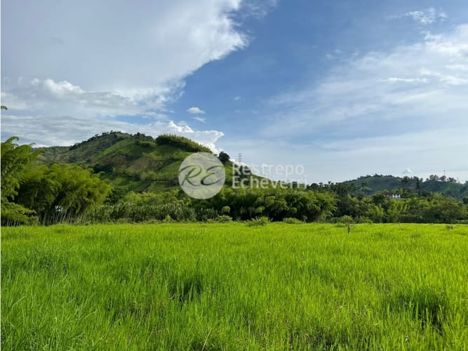Lote en venta en El Rosario, Manizales, 11294 m² · foto 2 de 9