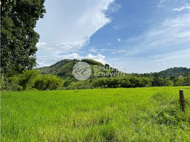 Lote en venta en El Rosario, Manizales, 11294 m² · foto 3 de 9