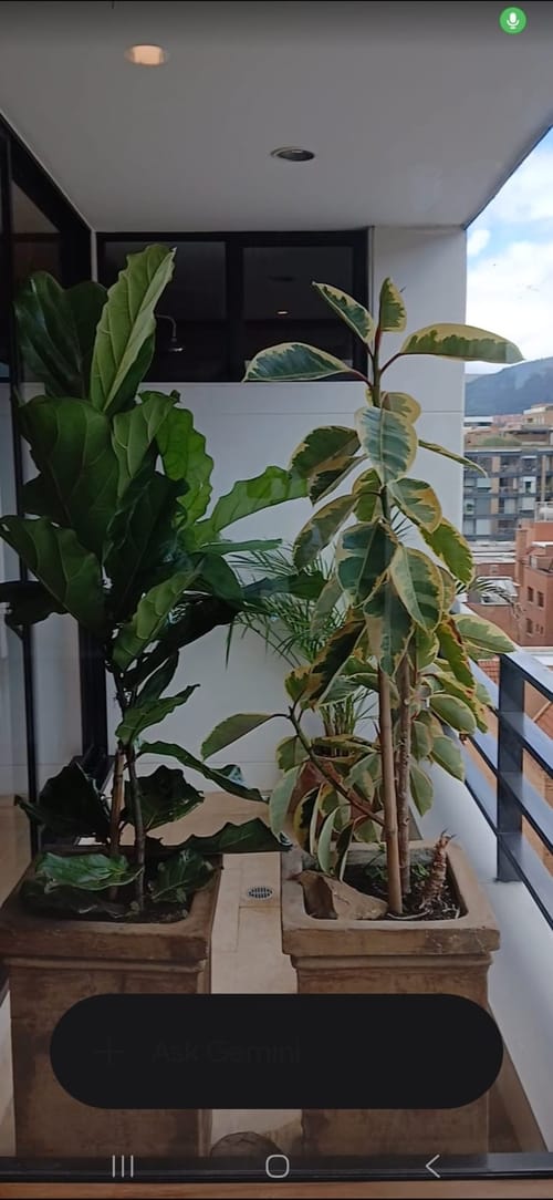 Apartamento de 4 alcobas en arriendo en Chicó Reservado, Bogotá, 286 m² · foto 11 de 24
