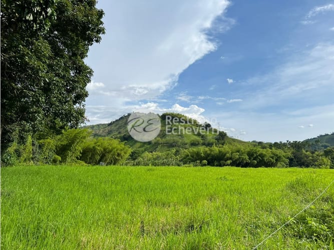 Lote en venta en El Rosario, Manizales, 11294 m² · foto 5 de 9