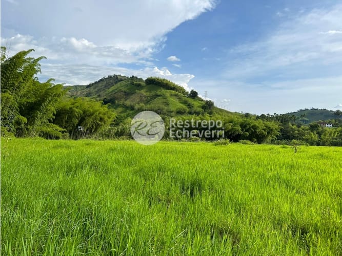 Lote en venta en El Rosario, Manizales, 11294 m² · foto 6 de 9