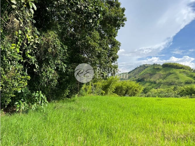 Lote en venta en El Rosario, Manizales, 11294 m² · foto 7 de 9