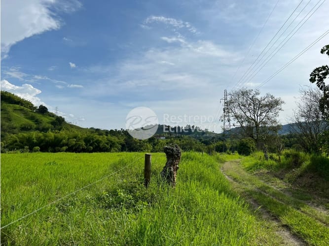 Lote en venta en El Rosario, Manizales, 11294 m² · foto 8 de 9