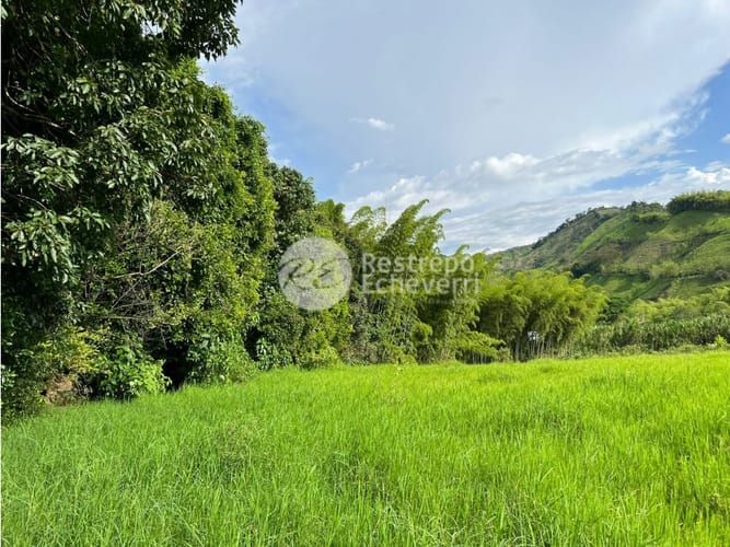 Lote en venta en El Rosario, Manizales, 11294 m² · foto 9 de 9