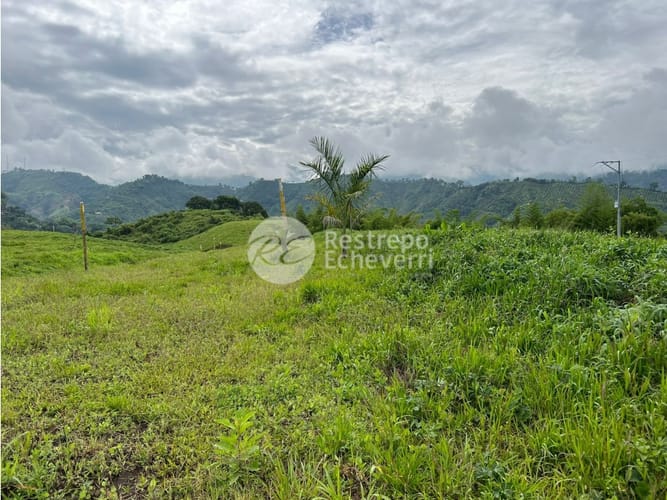 Lote en venta en La Trinidad, Manizales, 1833 m² · foto 9 de 24