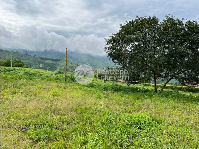 Lote en venta en La Trinidad, Manizales, 1833 m² · foto 10 de 24