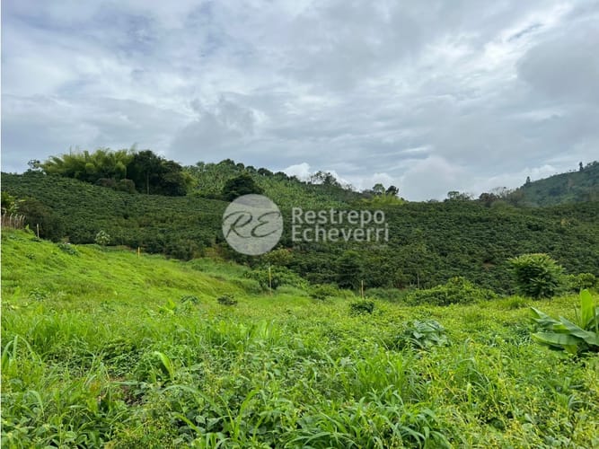 Lote en venta en La Trinidad, Manizales, 1833 m² · foto 15 de 24