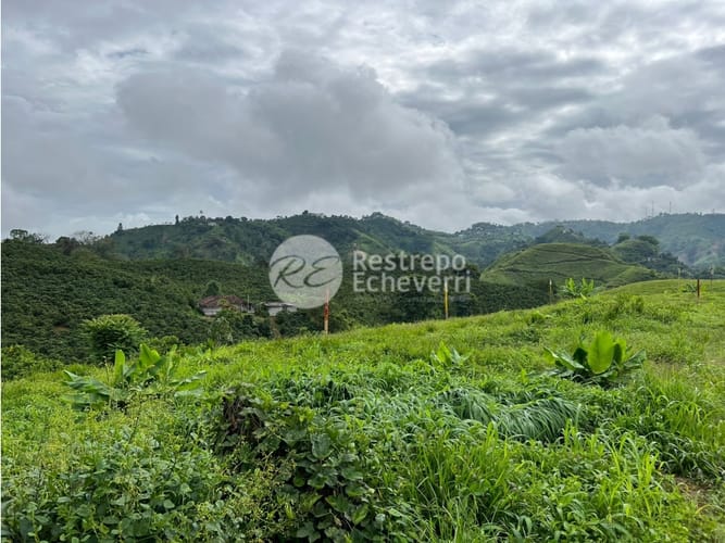 Lote en venta en La Trinidad, Manizales, 1833 m² · foto 23 de 24