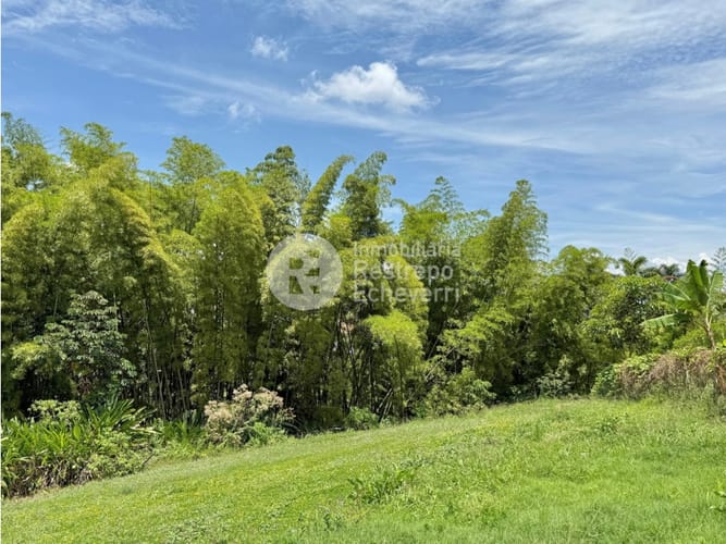 Lote en venta en San Bernardo Del Viento, Manizales, 1800 m² · foto 2 de 16