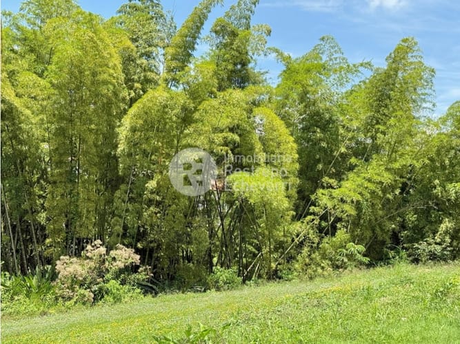 Lote en venta en San Bernardo Del Viento, Manizales, 1800 m² · foto 3 de 16