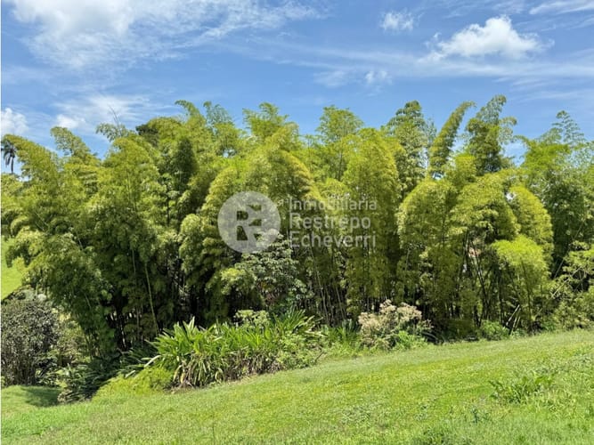 Lote en venta en San Bernardo Del Viento, Manizales, 1800 m² · foto 4 de 16