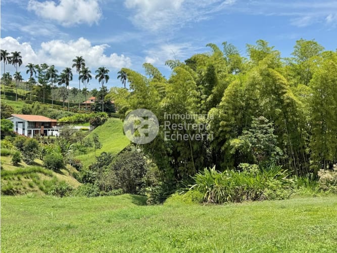 Lote en venta en San Bernardo Del Viento, Manizales, 1800 m² · foto 5 de 16