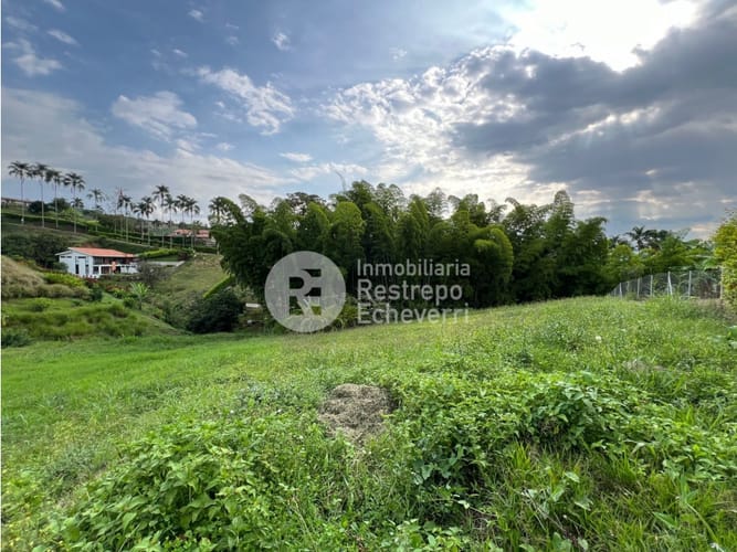 Lote en venta en San Bernardo Del Viento, Manizales, 1800 m² · foto 7 de 16