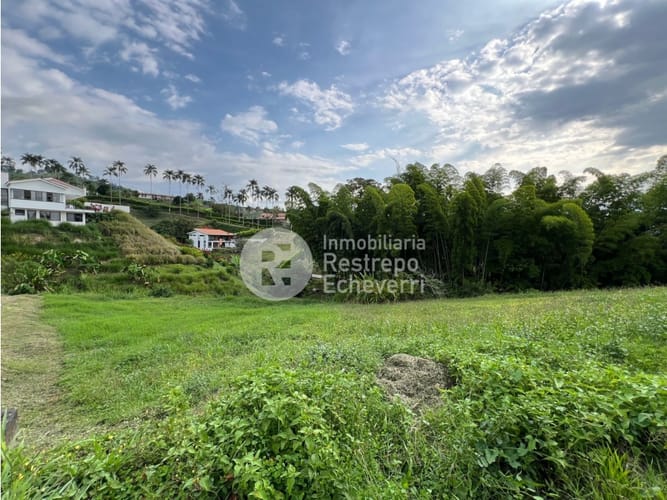 Lote en venta en San Bernardo Del Viento, Manizales, 1800 m² · foto 10 de 16