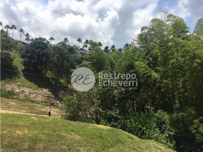 Lote en venta en San Bernardo Del Viento, Manizales, 1800 m² · foto 13 de 16