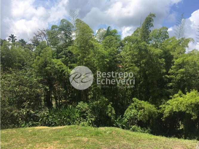 Lote en venta en San Bernardo Del Viento, Manizales, 1800 m² · foto 14 de 16