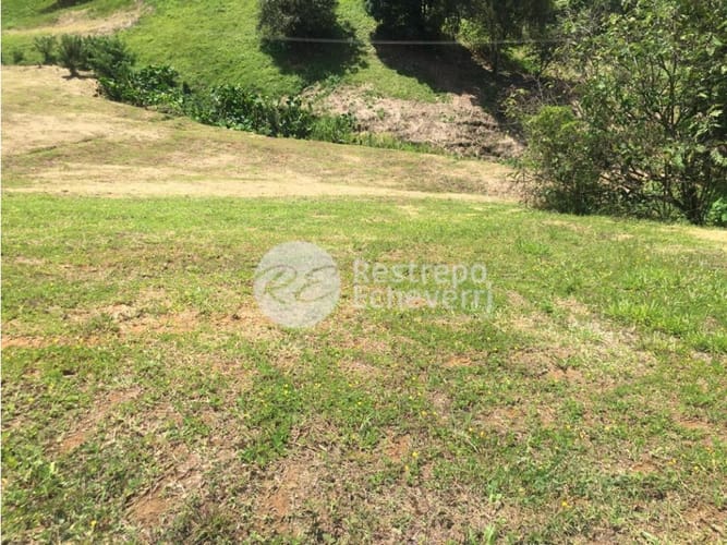 Lote en venta en San Bernardo Del Viento, Manizales, 1800 m² · foto 15 de 16