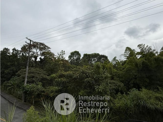 Lote en venta en Alto Del Perro, Manizales, 2394 m² · foto 3 de 16