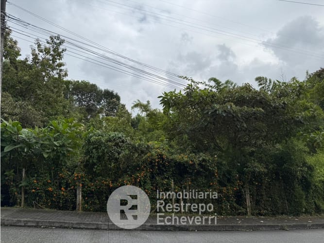 Lote en venta en Alto Del Perro, Manizales, 2394 m² · foto 6 de 16