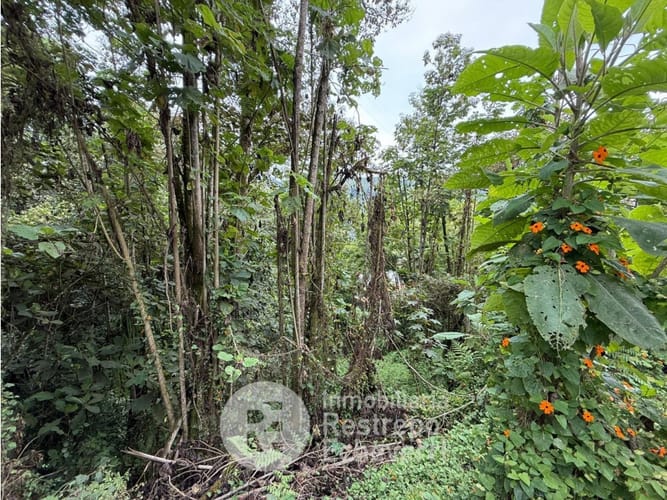 Lote en venta en Alto Del Perro, Manizales, 2394 m² · foto 11 de 16