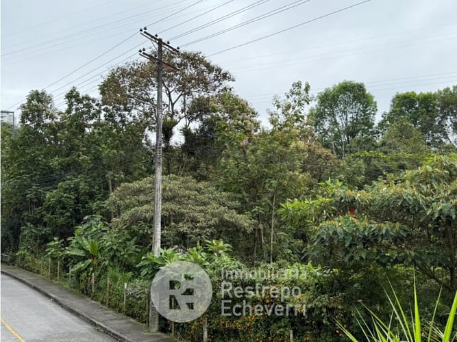 Lote en venta en Alto Del Perro, Manizales, 2394 m² · foto 12 de 16