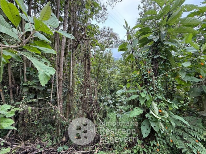 Lote en venta en Alto Del Perro, Manizales, 2394 m² · foto 13 de 16