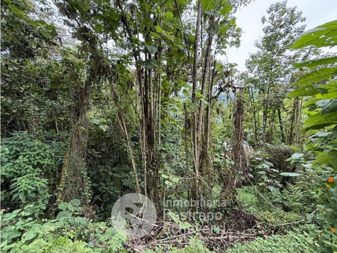 Lote en venta en Alto Del Perro, Manizales, 2394 m² · foto 15 de 16