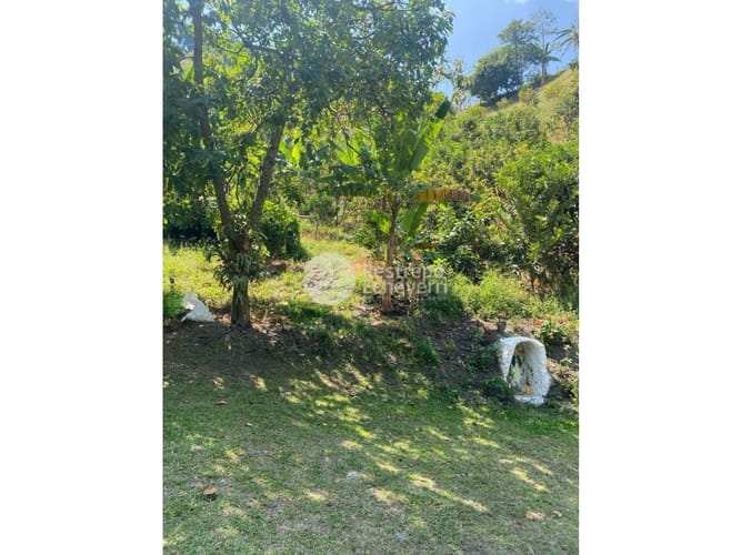 Finca en venta en La Cabaña, Manizales, 250 m² · foto 5 de 15