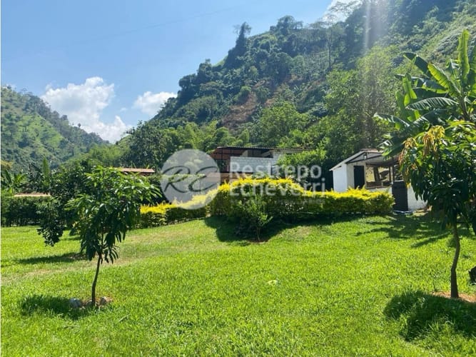 Finca en venta en La Cabaña, Manizales, 250 m² · foto 8 de 15