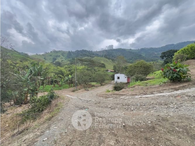 Finca en venta en La Siria, Manizales, 727 m² · foto 4 de 5