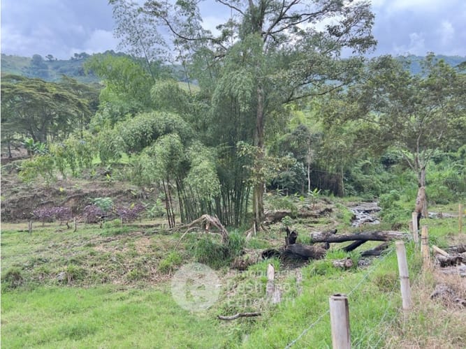 Finca en venta en La Siria, Manizales, 727 m² · foto 5 de 5