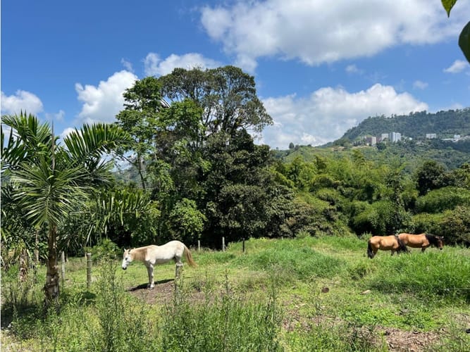 Lote en venta en El Arenillo, Manizales · foto 2 de 10