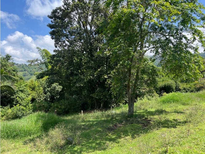 Lote en venta en El Arenillo, Manizales · foto 3 de 10