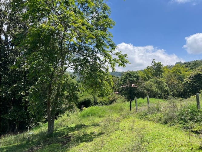 Lote en venta en El Arenillo, Manizales · foto 4 de 10