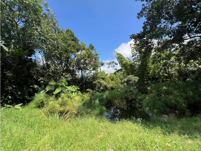 Lote en venta en El Arenillo, Manizales · foto 5 de 10