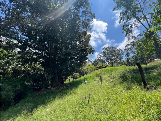 Lote en venta en El Arenillo, Manizales · foto 7 de 10