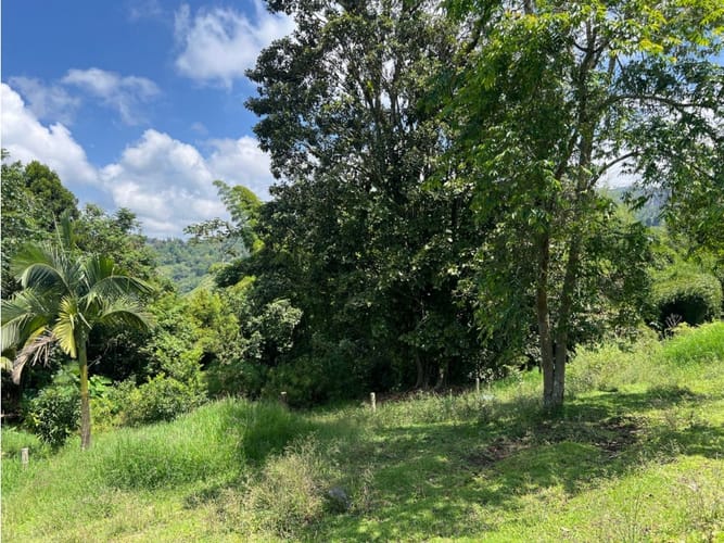 Lote en venta en El Arenillo, Manizales · foto 9 de 10