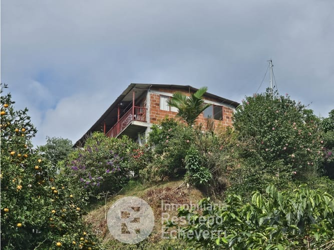 Finca en venta en Alto Tablazo, Manizales, 63 m² · foto 4 de 15