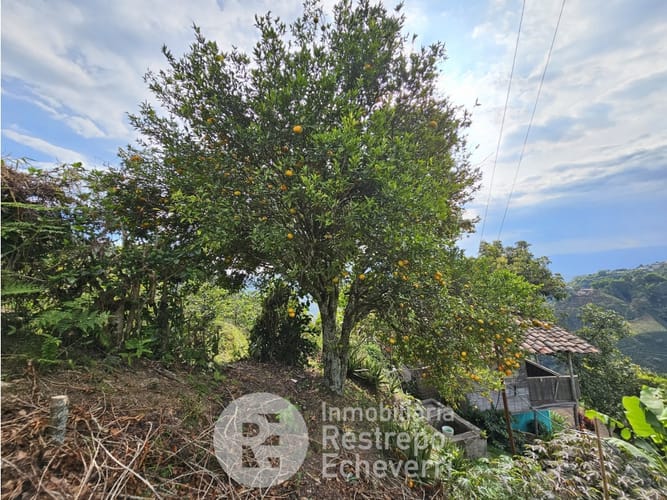 Finca en venta en Alto Tablazo, Manizales, 63 m² · foto 7 de 15