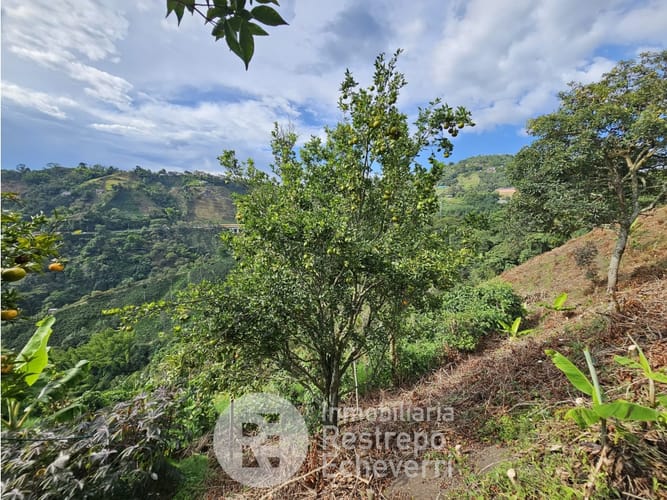Finca en venta en Alto Tablazo, Manizales, 63 m² · foto 12 de 15