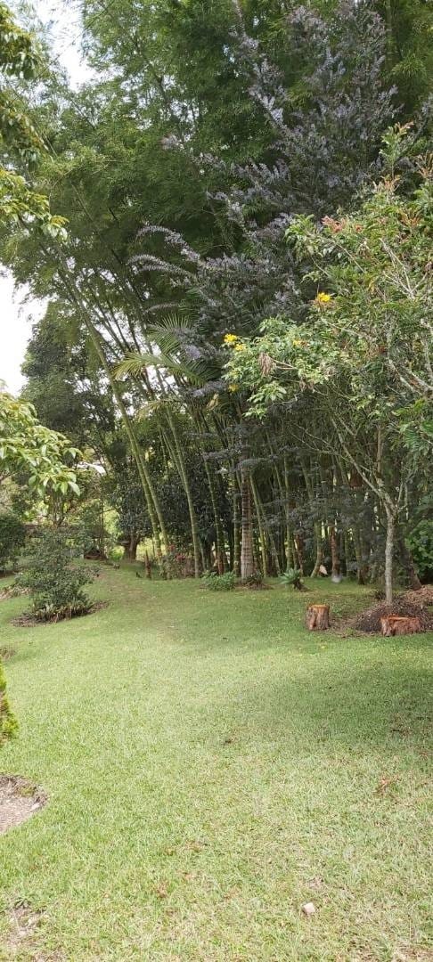 Casa de 4 alcobas en venta en La Laja, Rionegro, 174 m² · foto 6 de 12