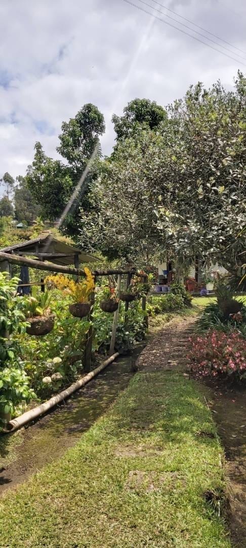 Casa de 4 alcobas en venta en La Laja, Rionegro, 174 m² · foto 12 de 12