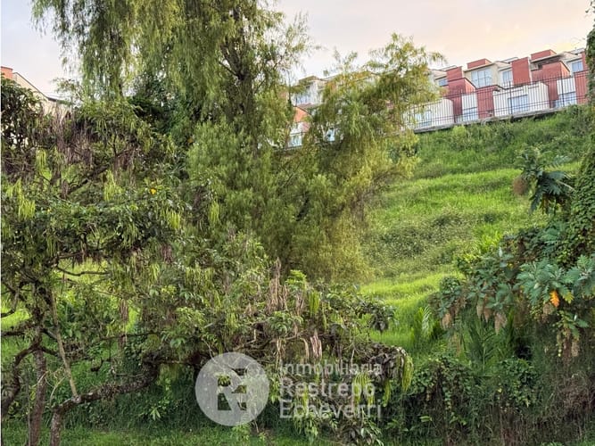 Lote en venta en Avenida Kevin Angel, Manizales, 3143 m² · foto 2 de 4